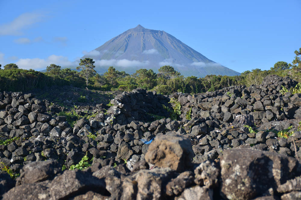 Ilha do Pico Lava Negra 1