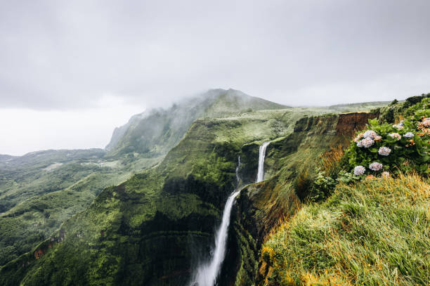 gettyimages 1450271825 612x612 1