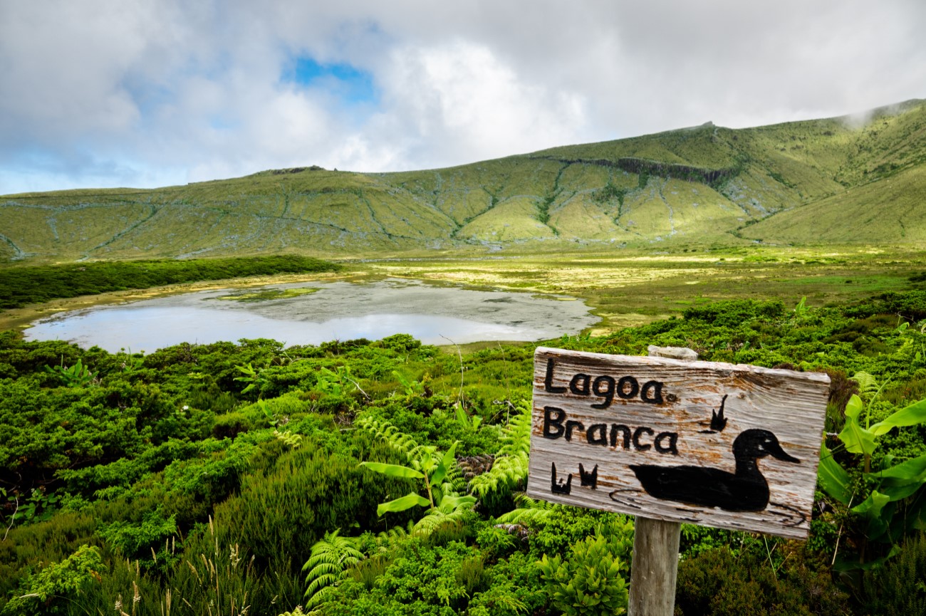 Lagoas da Ilha das Flores: guia completo 3 lagoa branca flores
