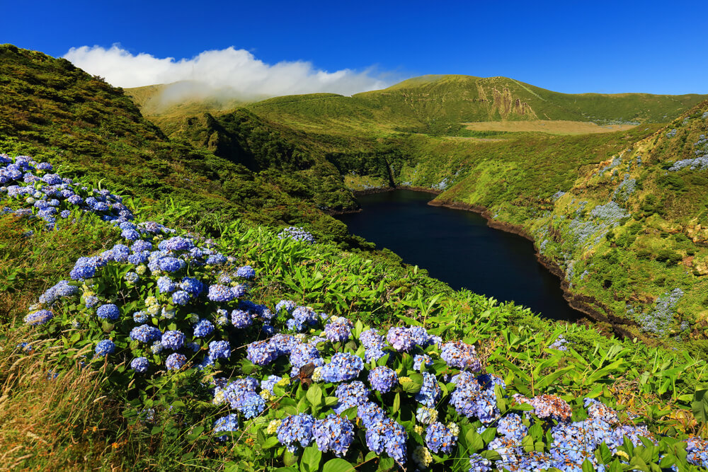 Ilha das Flores ou São Miguel: qual escolher? 3 lagoa comprida ilha flores 1